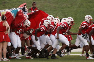 爱游戏体育-全国青少年皮划艇竞速赛在杭州顺利举行，青少年皮划艇夏令营活动