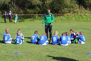 爱游戏综合娱乐-意甲攻守大比拼：速度与战术的融合！，意甲战术强在哪里