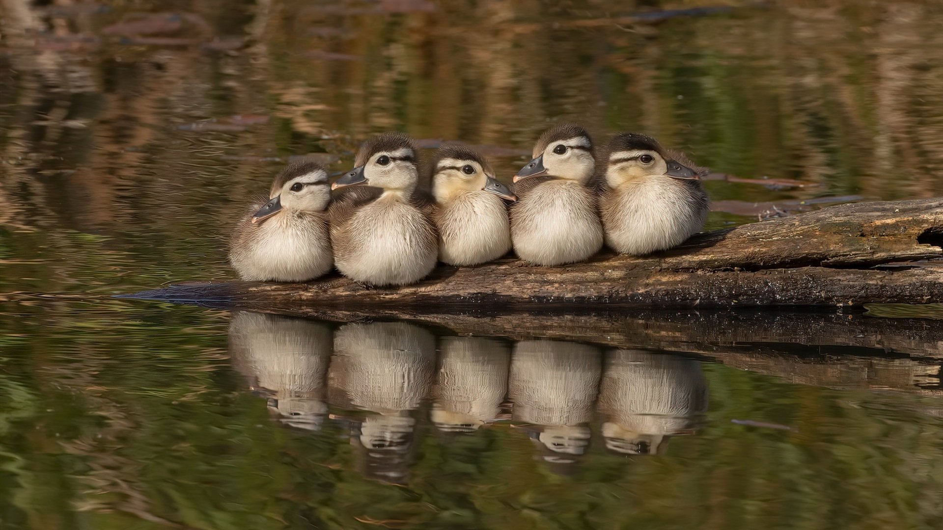 爱游戏app下载-比赛暂停期间球员积极互动展现团队凝聚力，暂停比赛怎么写