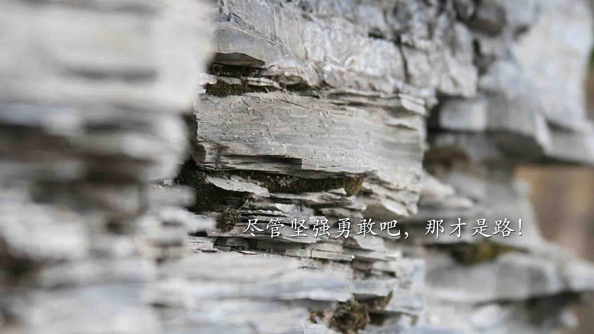 英超激情冲刺:每一场都精彩绝伦!,英超精彩集锦