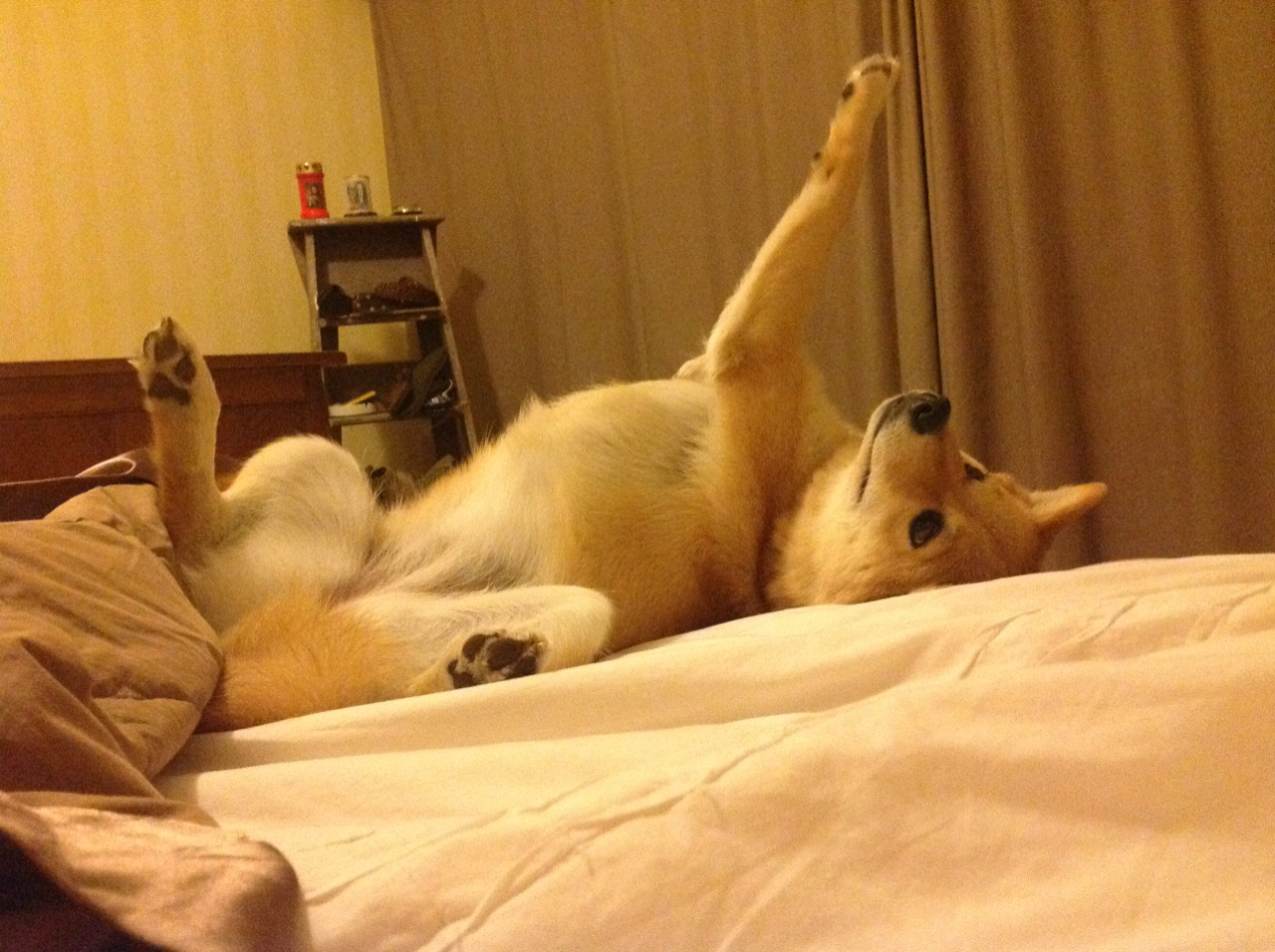 爱游戏中国官方登录入口网站-黄蜂封闭战术室升级为互动投影模式，黄蜂控卫