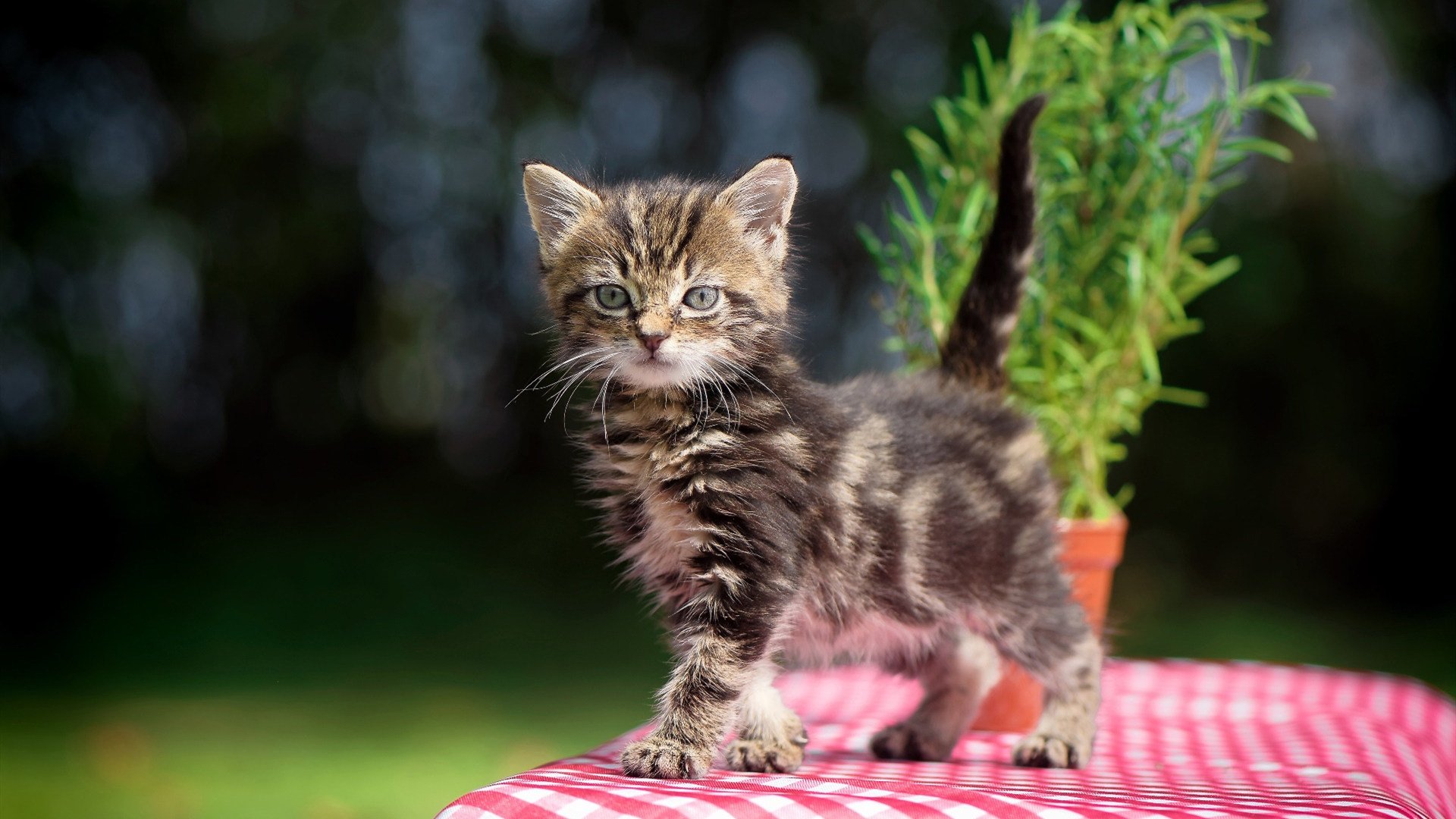 -21学生遇难悲剧再起波澜原总务主任申诉无罪遭拒