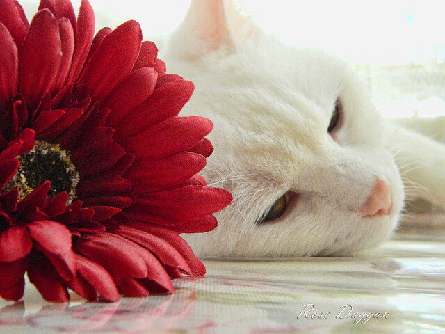 爱游戏app-一次炒股换来1.59亿罚没，值吗？，炒股一次性可买多少股